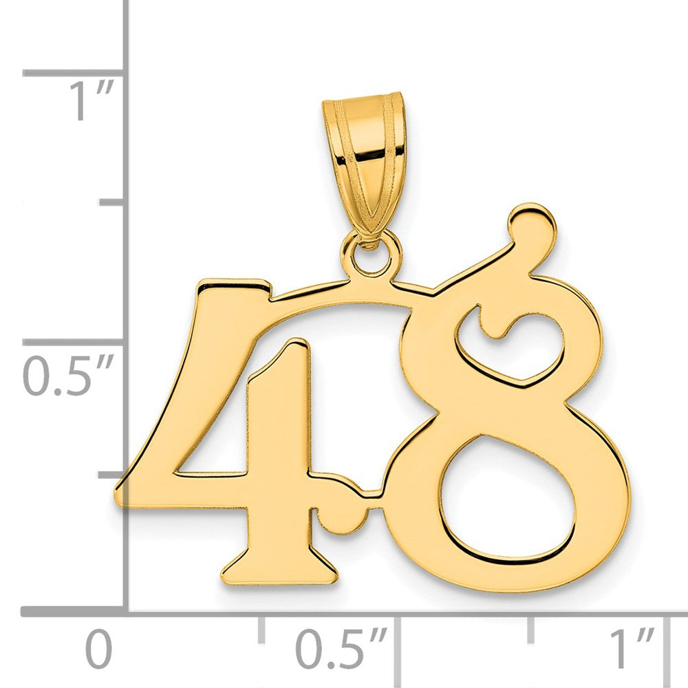 14k Yellow Gold Polished Number 48 Pendant