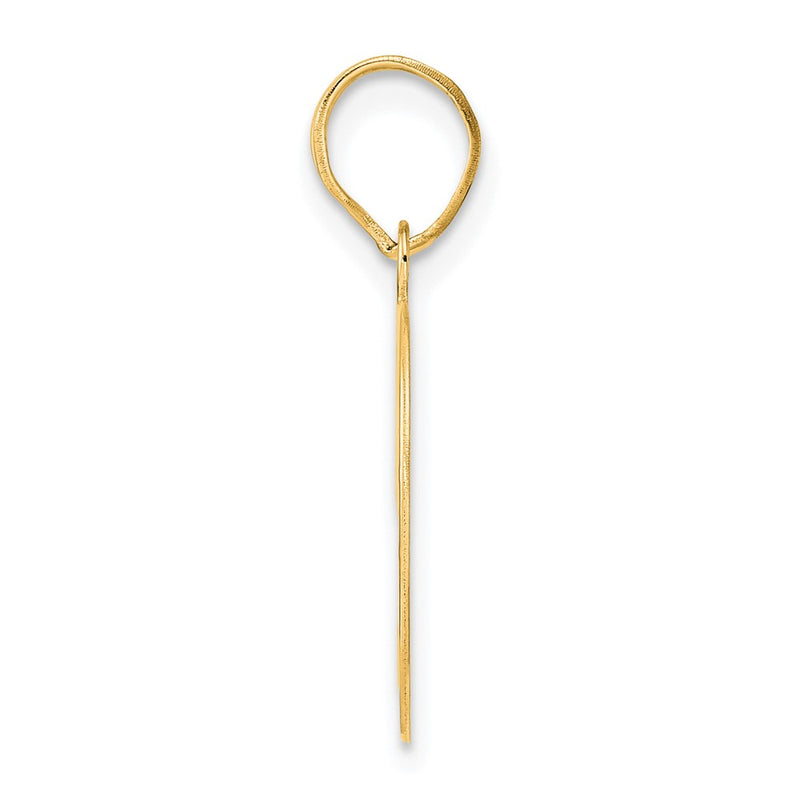 14k Yellow Gold Polished Number 49 Pendant