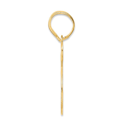 14k Yellow Gold Polished Number 55 Pendant