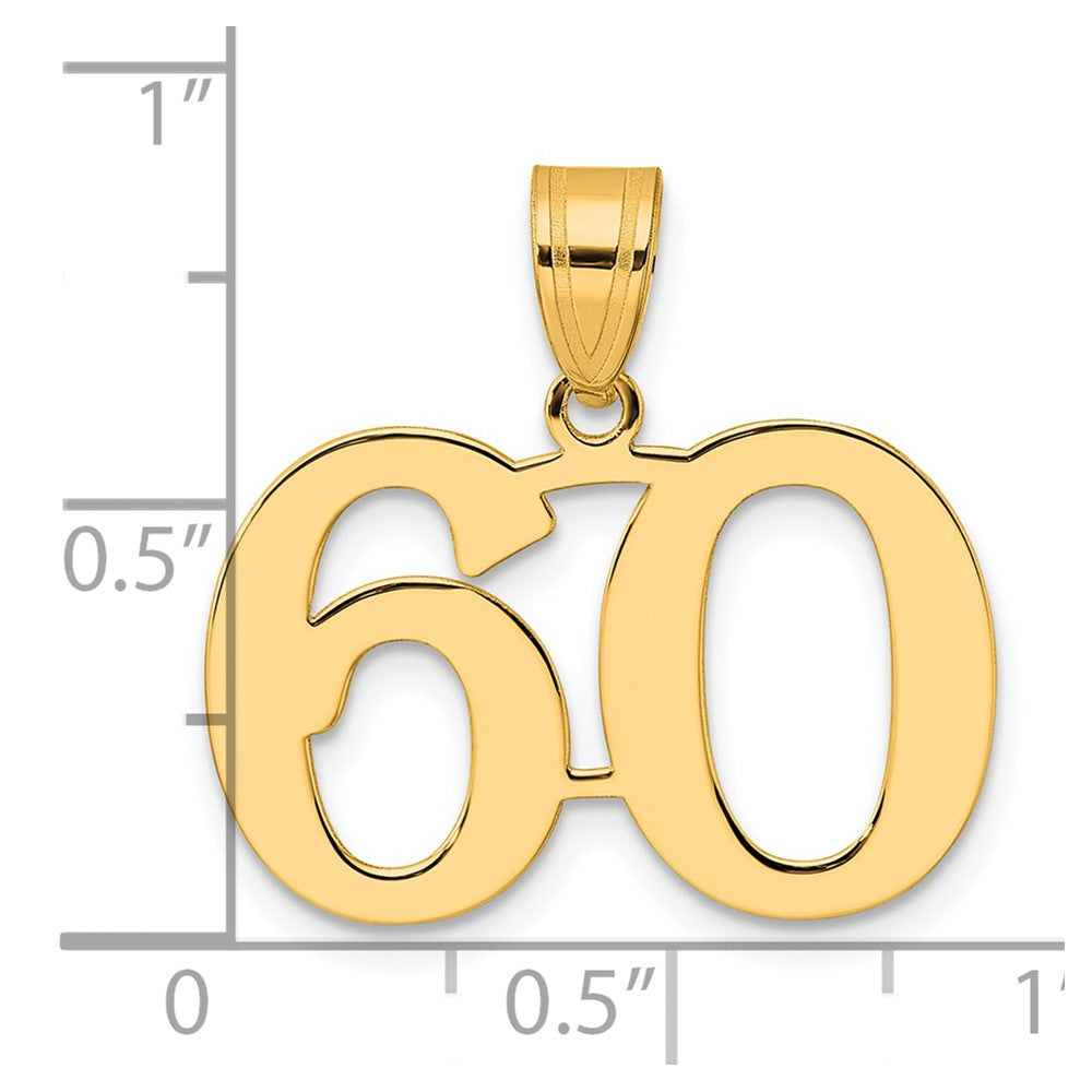 14k Yellow Gold Polished Number 60 Pendant