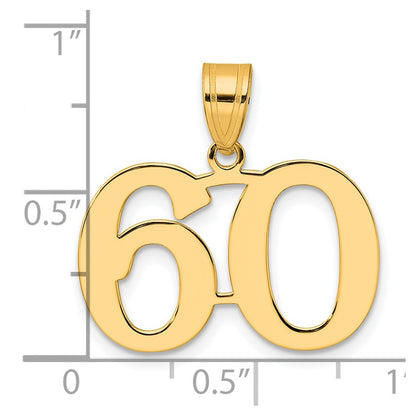 14k Yellow Gold Polished Number 60 Pendant