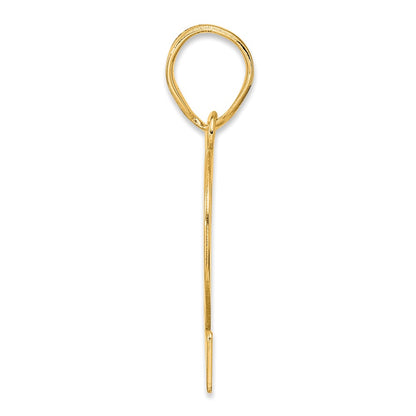 14k Yellow Gold Polished Number 62 Pendant