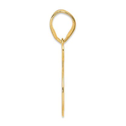 14k Yellow Gold Polished Number 65 Pendant