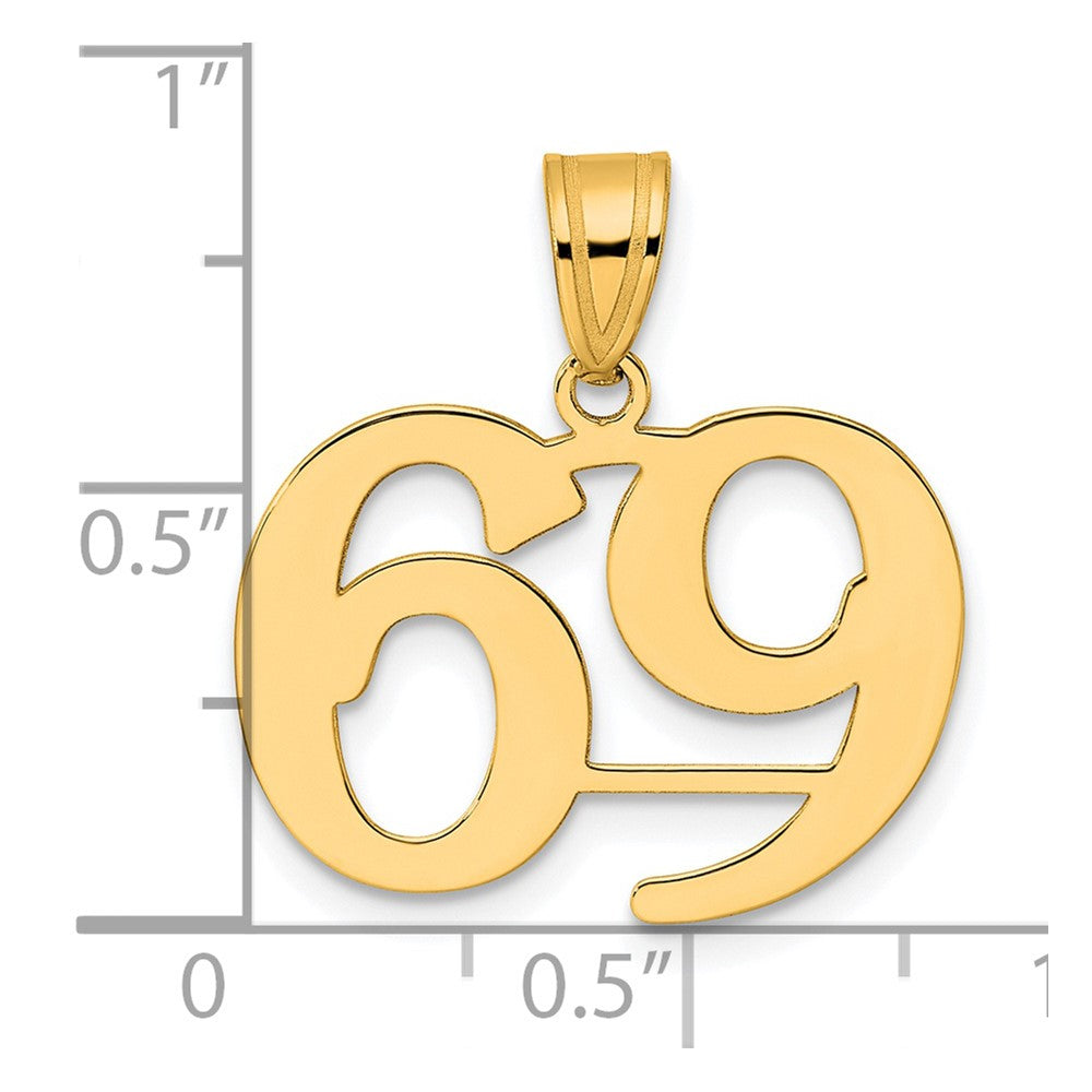 14k Yellow Gold Polished Number 69 Pendant