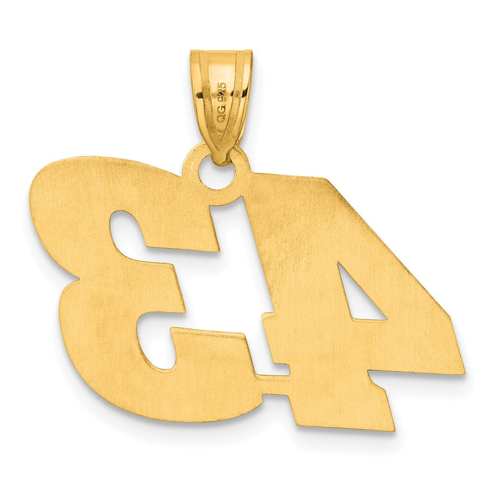 14k Yellow Gold Polished Block Number 43 Pendant