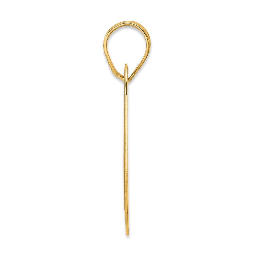 14k Yellow Gold Polished Block Number 69 Pendant