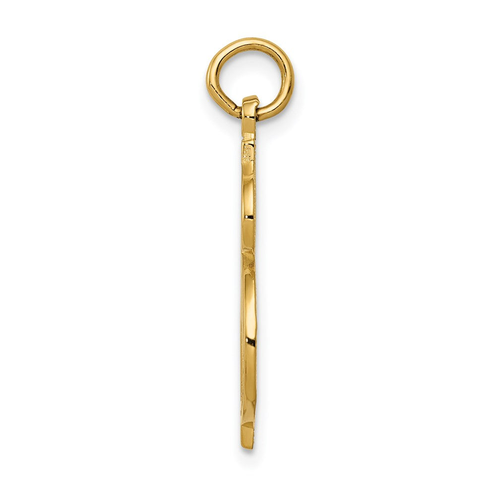 14k Yellow Gold Dollar Sign Charm