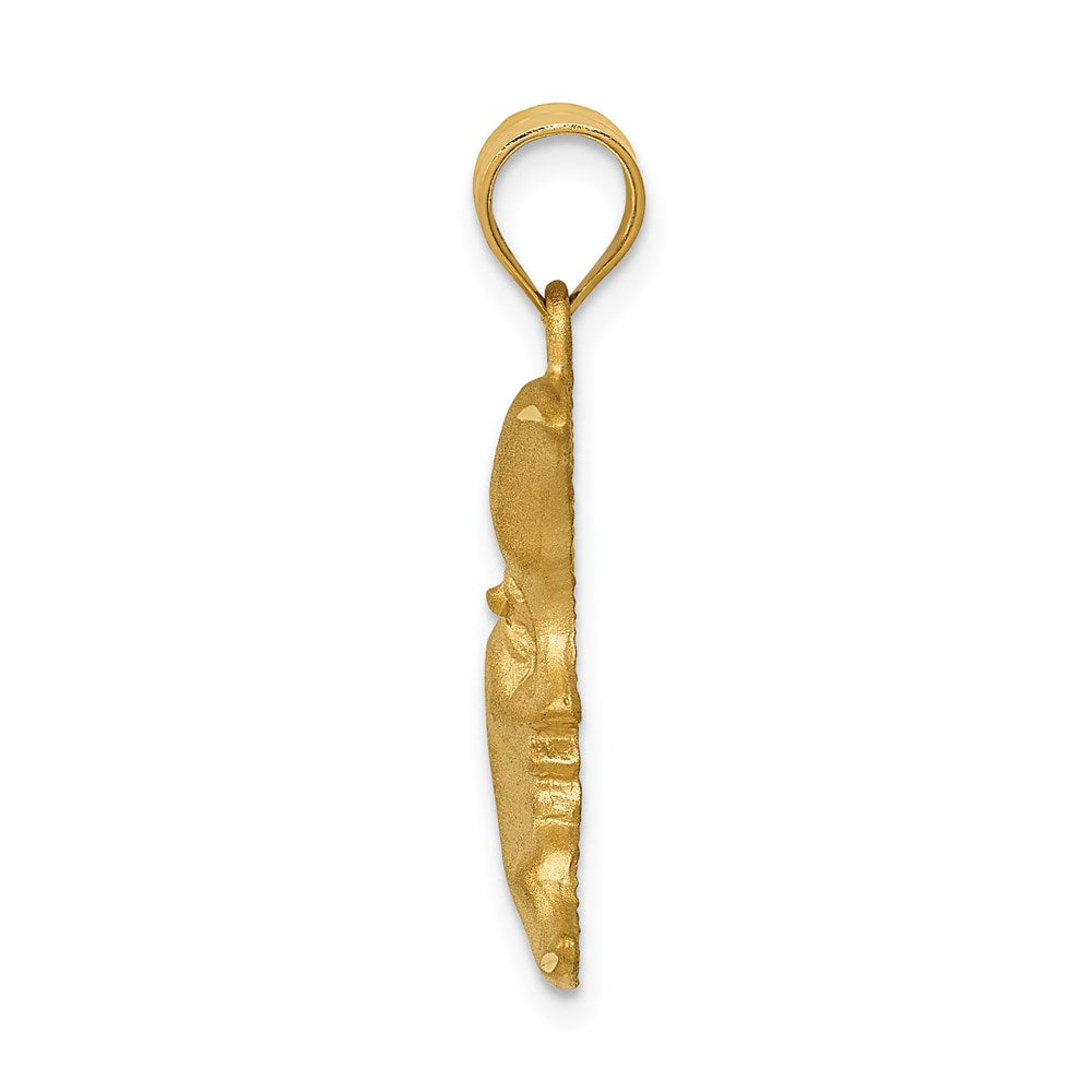 14k Yellow Gold Satin Diamond-cut Moon Charm