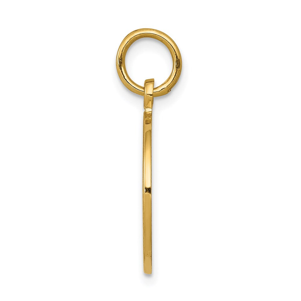 14k Yellow Gold Satin and Polished Communion Charm