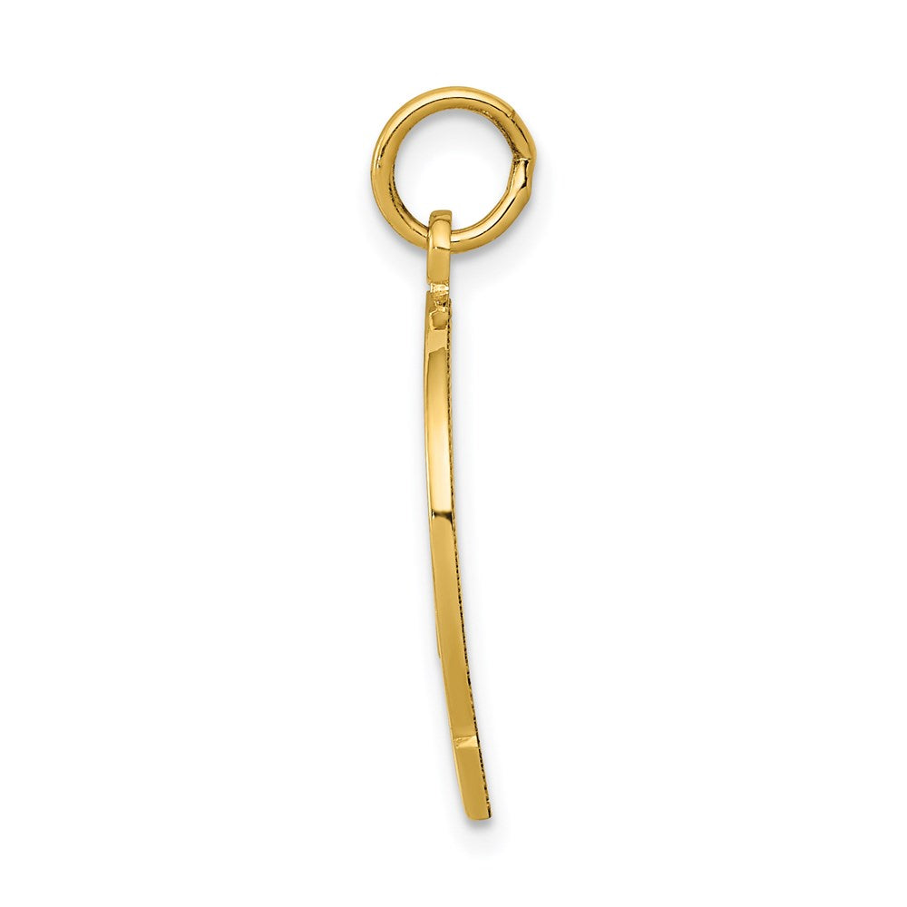 14k Yellow Gold Horseshoe Good Luck Charm