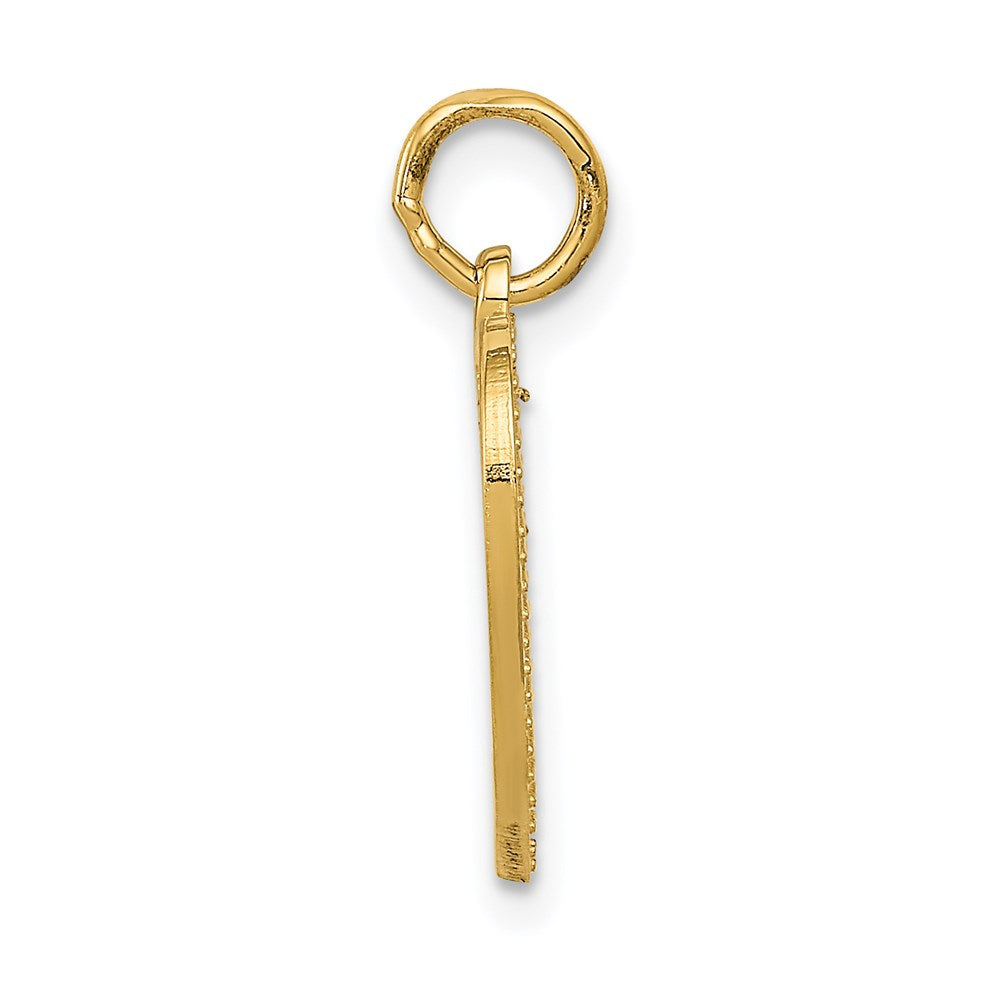 14k Yellow Gold VERY SPECIAL SIS Charm