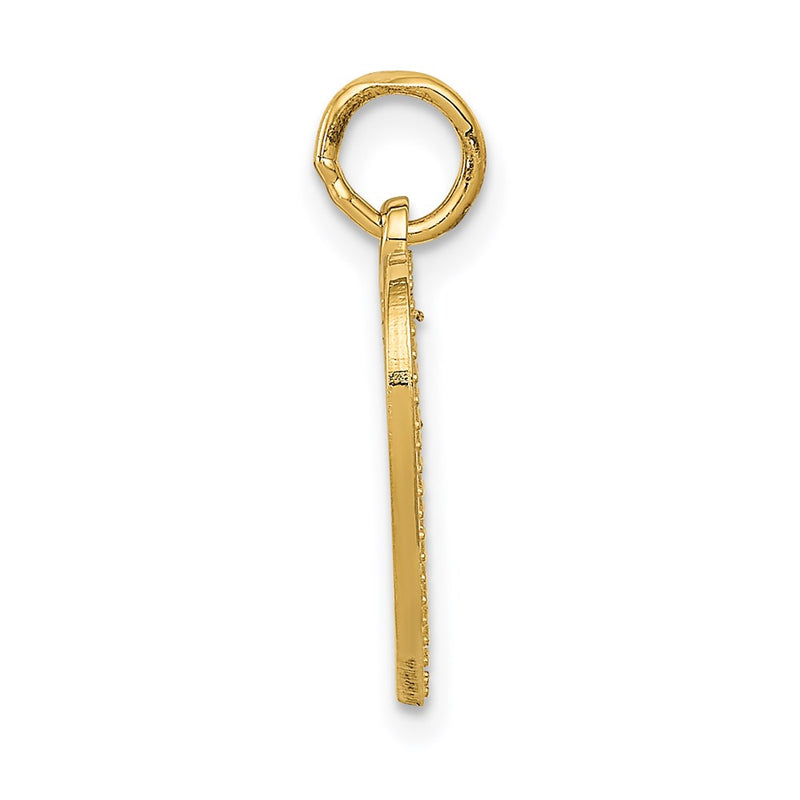14k Yellow Gold VERY SPECIAL SIS Charm