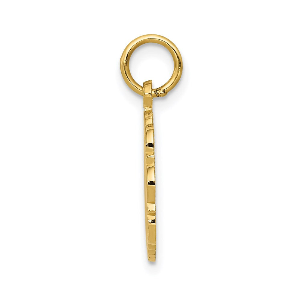 14k Yellow Gold RN Registered Nurse Disc Charm