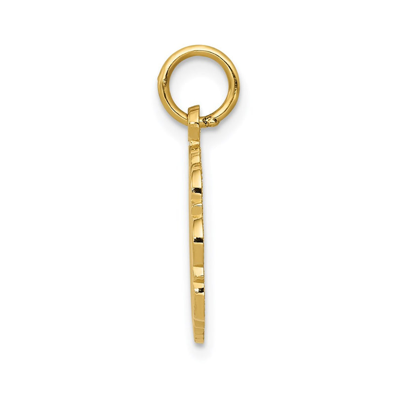 14k Yellow Gold RN Registered Nurse Disc Charm