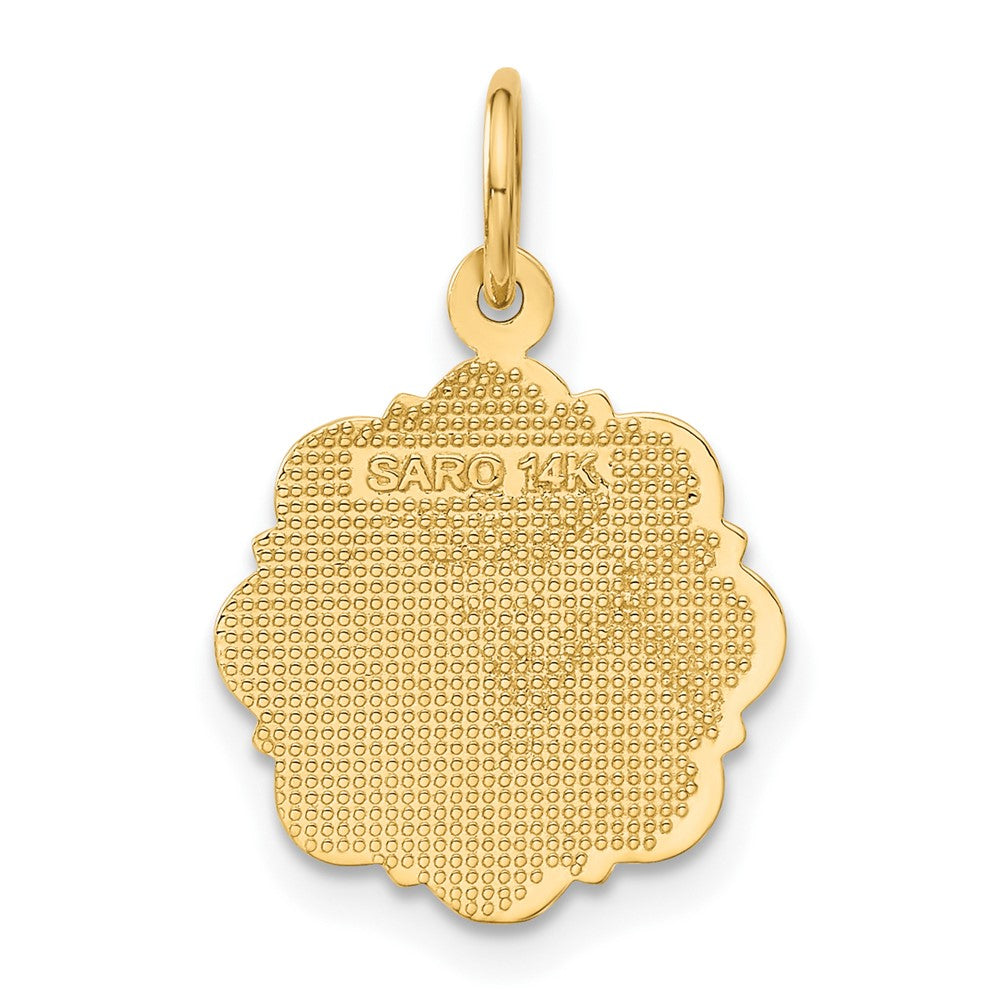 14k Yellow Gold RN Registered Nurse Disc Charm