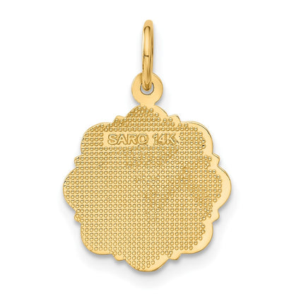 14k Yellow Gold RN Registered Nurse Disc Charm