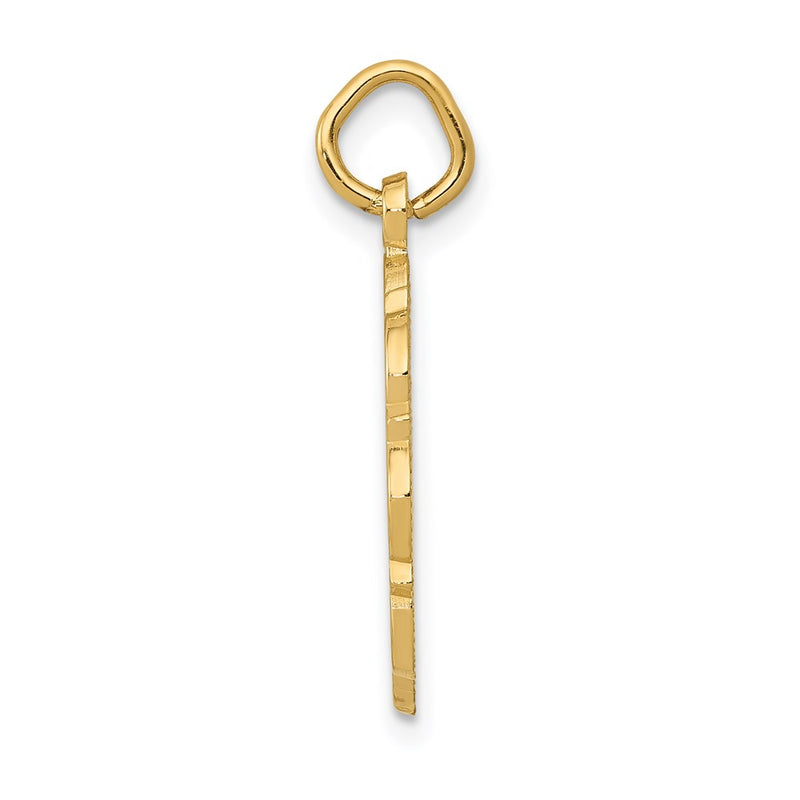 14k Yellow Gold RN Registered Nurse Disc Charm