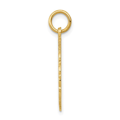 14k Yellow Gold RN Registered Nurse Disc Charm