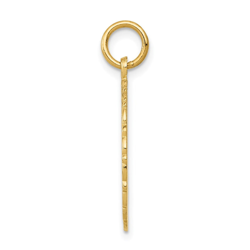 14k Yellow Gold RN Registered Nurse Disc Charm