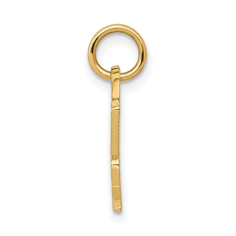 14k Yellow Gold Racing Flags SPEED FREAK Charm