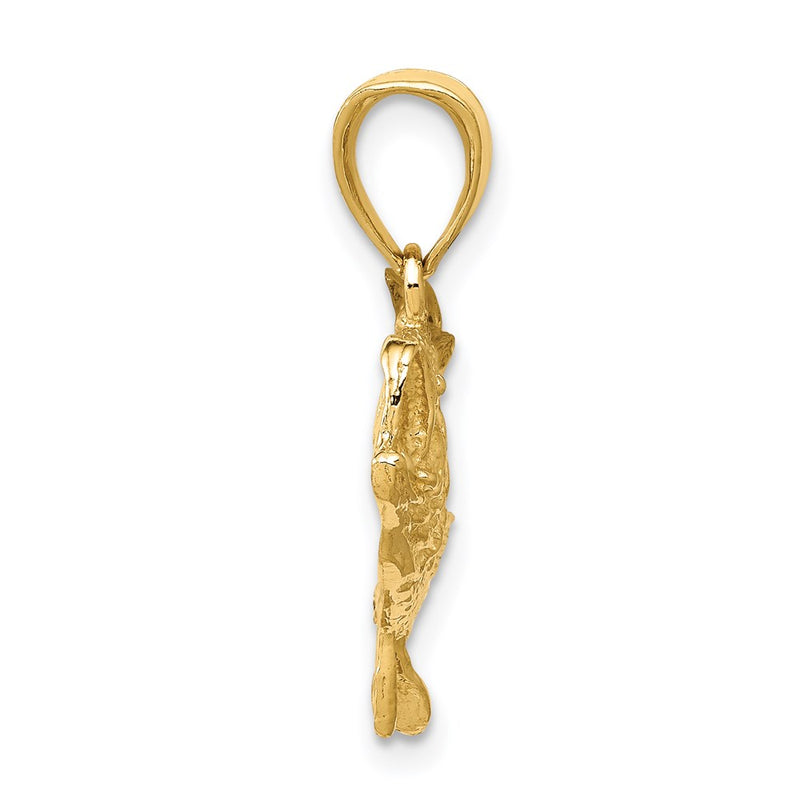 14k Yellow Gold Polished Open-Backed Bass Fish Pendant