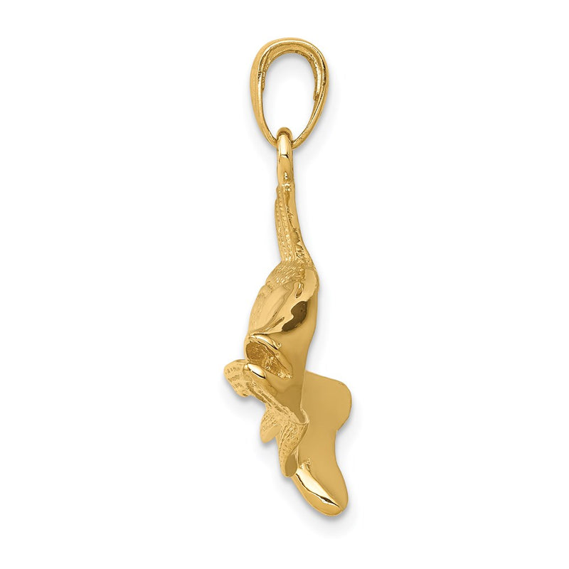 14k Yellow Gold Polished Open-Backed Redfish Pendant