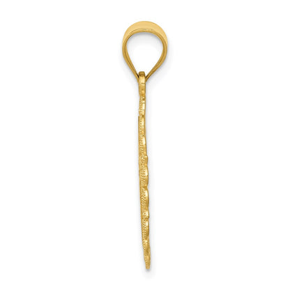 14k Yellow Gold Solid Satin Polished Aquarius Zodiac Oval Pendant