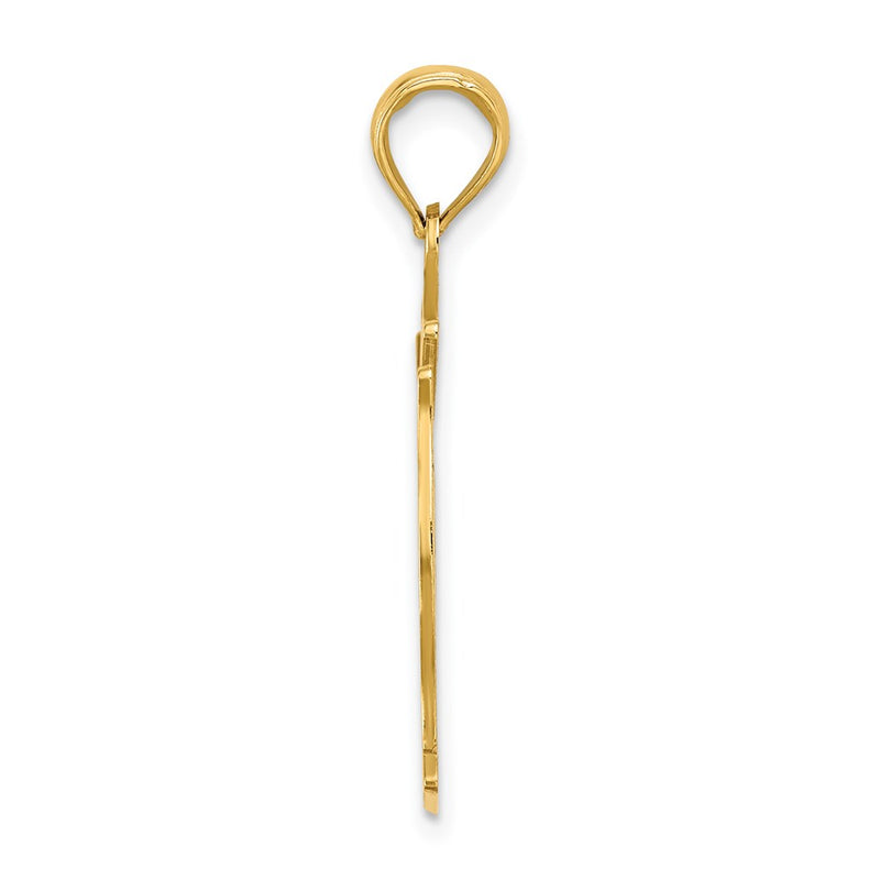 14k Yellow Gold FD LADIES AUX in Shield Charm