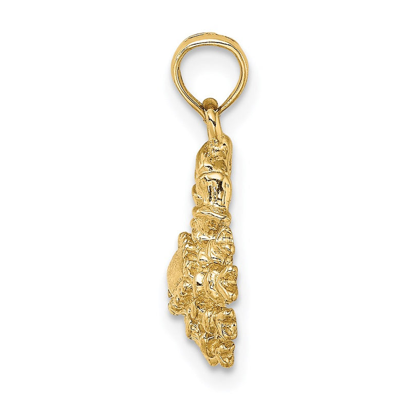 14k Yellow Gold 3-D Cancer Zodiac Charm