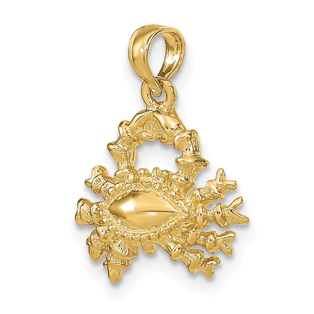 14k Yellow Gold 3-D Cancer Zodiac Charm
