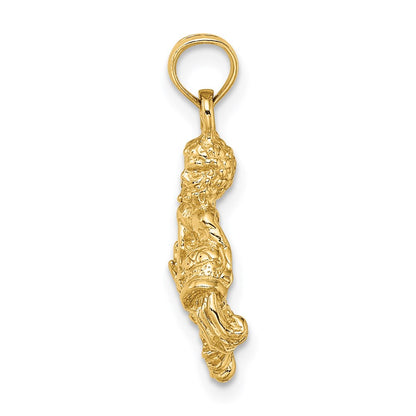 14k Yellow Gold 3-D Aquarius Zodiac Charm