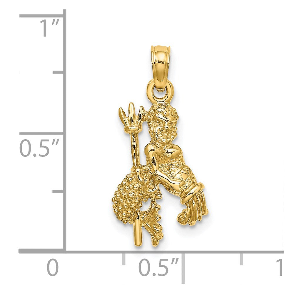 14k Yellow Gold 3-D Aquarius Zodiac Charm