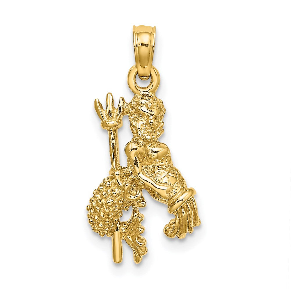 14k Yellow Gold 3-D Aquarius Zodiac Charm