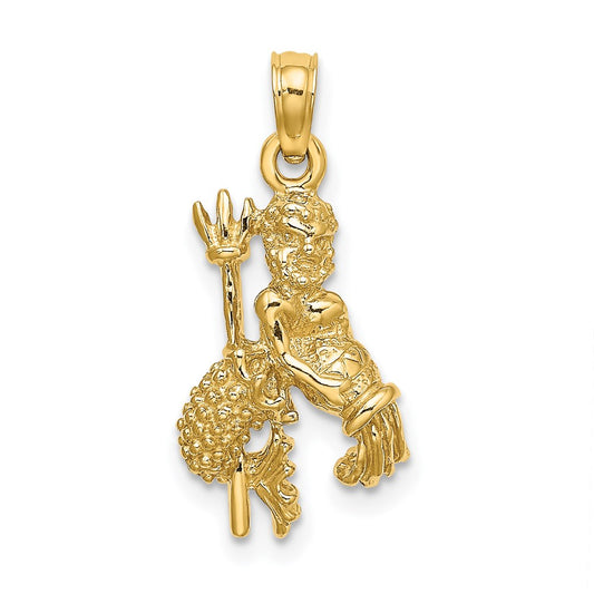 14k Yellow Gold 3-D Aquarius Zodiac Charm