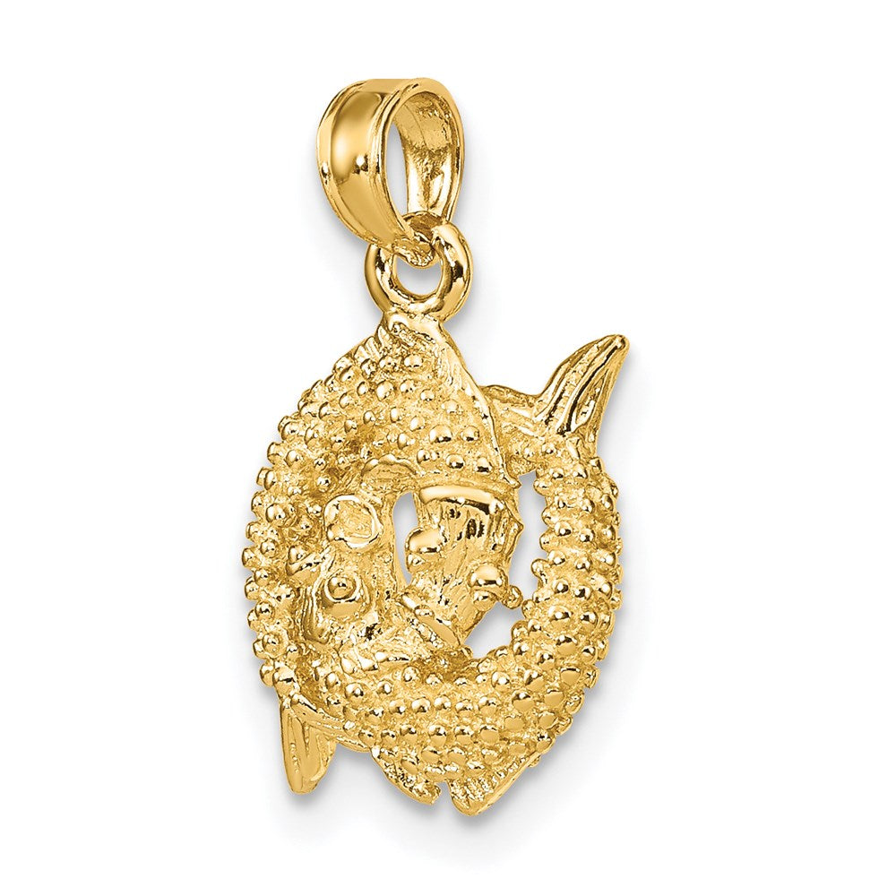 14k Yellow Gold 3-D Pisces Zodiac Charm