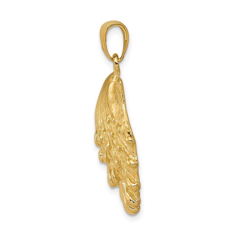 14k Yellow Gold Lion's Paw Shell Pendant