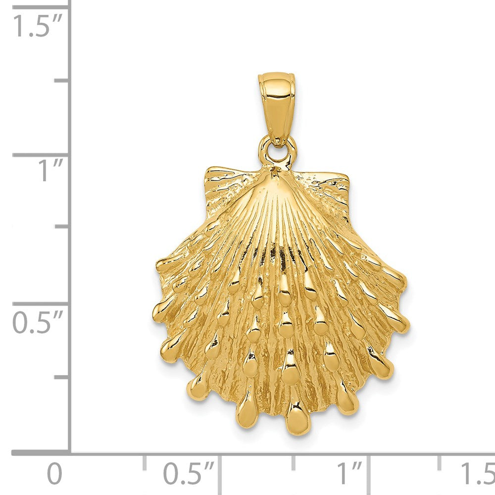 14k Yellow Gold Lion's Paw Shell Pendant