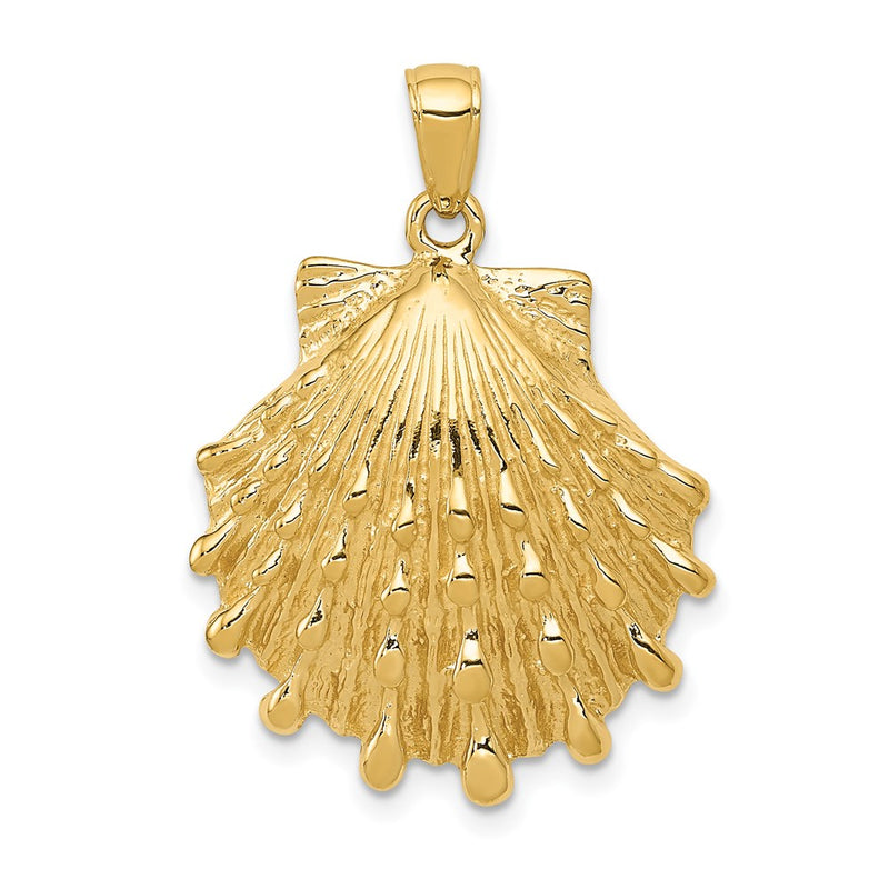 14k Yellow Gold Lion's Paw Shell Pendant