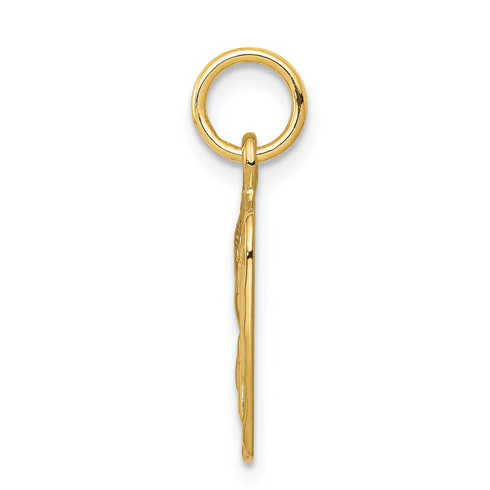 14k Yellow Gold Satin and Diamond-Cut Angel Charm
