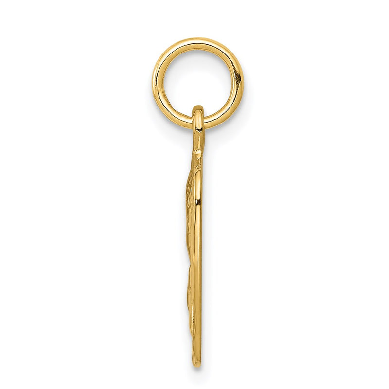 14k Yellow Gold Satin and Diamond-Cut Angel Charm