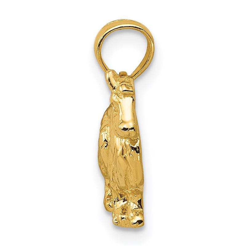 14k Yellow Gold Collie Dog Pendant