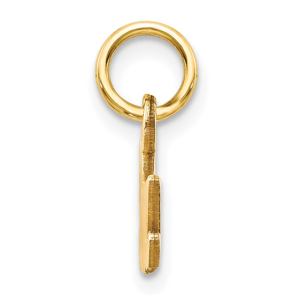 14k Yellow Gold Satin NANA Charm