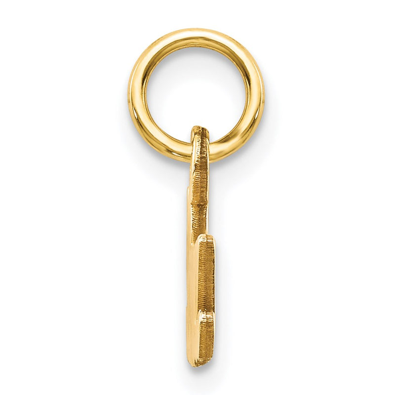 14k Yellow Gold Satin NANA Charm