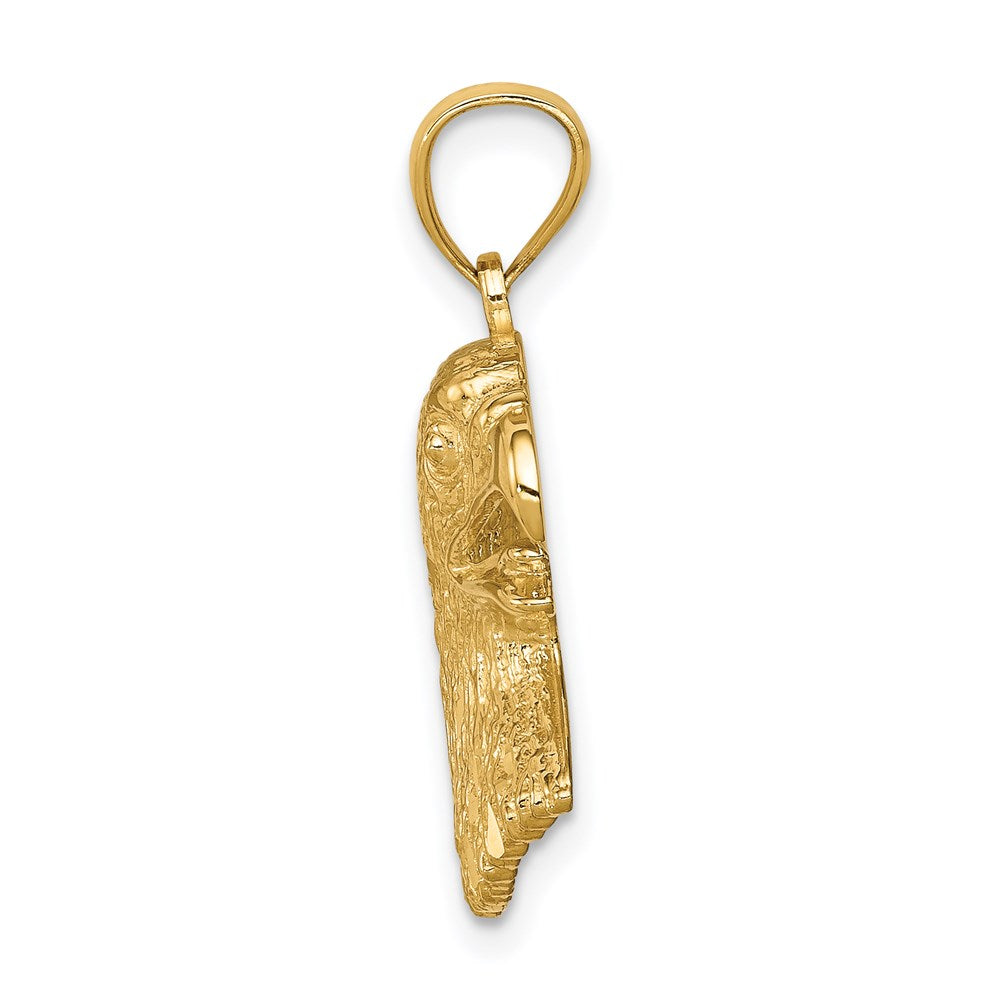 14k Yellow Gold Diamond-Cut Eagle Pendant
