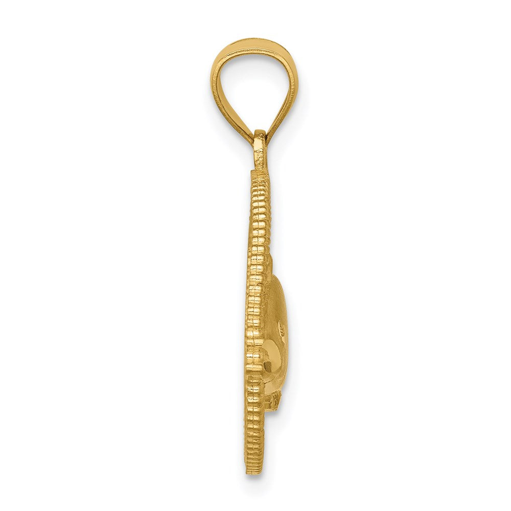14k Yellow Gold Framed D/C Tuna fish Pendant