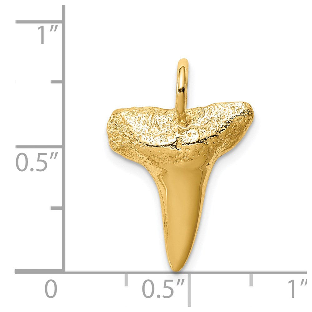 14k Yellow Gold Shark Tooth Pendant