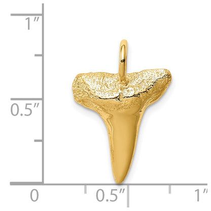 14k Yellow Gold Shark Tooth Pendant