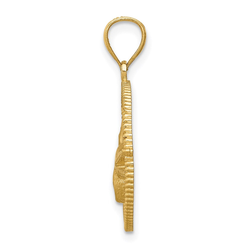 14k Yellow Gold Framed D/C Sailfish Pendant