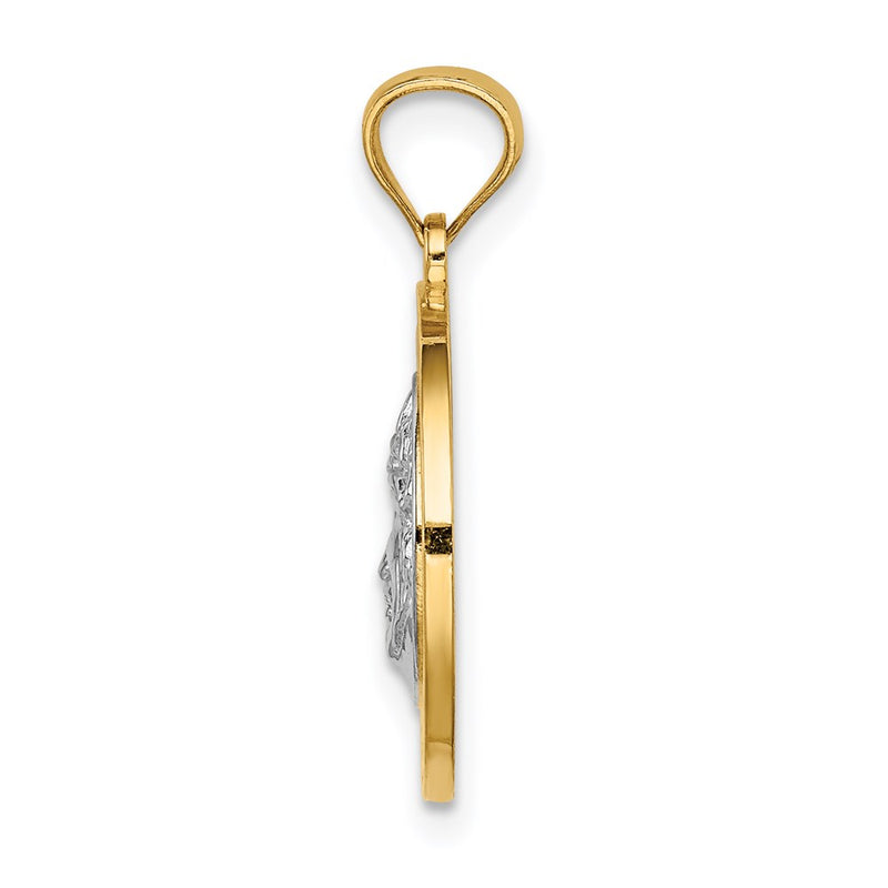 14k Yellow & Rhodium Gold w/White Rhodium Jesus Medal
