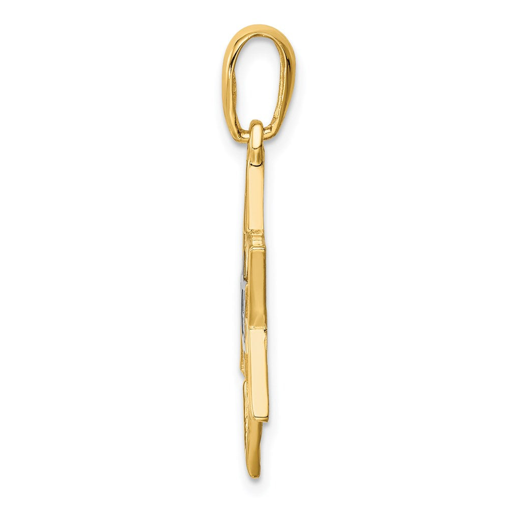 14k Yellow & Rhodium Gold & Rhodium Solid Polished Meshed Star of David Charm